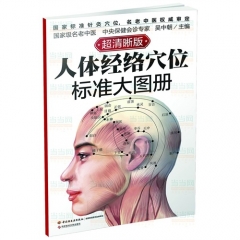 人体经络穴位标准大图册