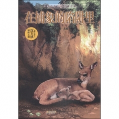 中国动物小说品藏书系·在捕象的陷阱里