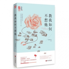 新华图书 支持正版 教我如何不想他/何处听雨