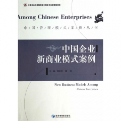 中国企业新商业模式案例