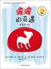 波波的奇遇