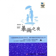 海岸线书系：暴雨之夜