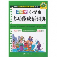 彩图版小学生多功能成语词典