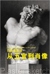 石膏像素描从五官到肖像