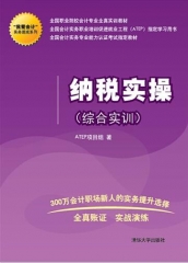 纳税实操（综合实训）（我爱会计实务速成系列）