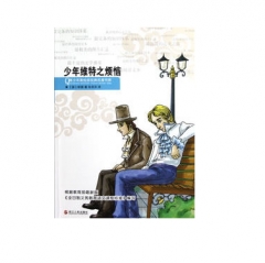 少年维特之烦恼
