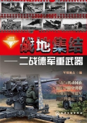 战地集结：二战德军重武器