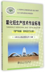 氧化铝生产技术作业标准(燃气制备 热电动力分册)