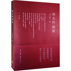 西北的剖面