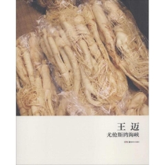 王迈：尤伦斯湾海峡