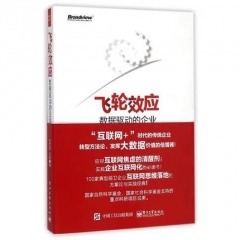 飞轮效应：数据驱动的企业