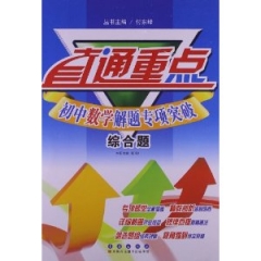 综合题 初中数学解题专项突破