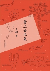 看上去很美