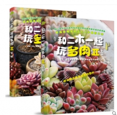 爱玩萌多肉
