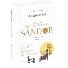 伪装成独白的爱情