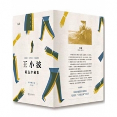 王小波精选珍藏集套装 全六册