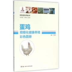 畜禽规模化养殖丛书:蛋鸡规模化健康养殖彩色图册