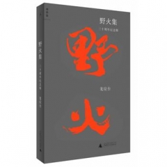 野火集（三十周年纪念版）