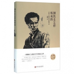 钢铁是怎样炼成的