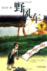 野风车--曹文轩纯美小说系列