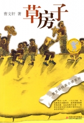 曹文轩纯美小说系列--草房子
