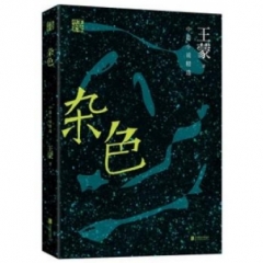王蒙精选集：杂色