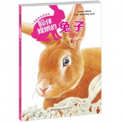 陪伴嫦娥的兔子