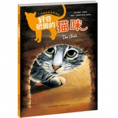 好奇骄傲的猫咪