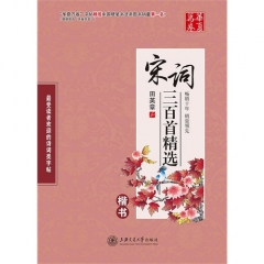 新华图书 支持正版 华夏万卷-宋词三百首精选（楷书）/田英章书