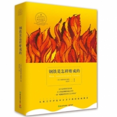 钢铁是怎样炼成的