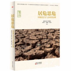 居危思危：国家安全与乡村治理