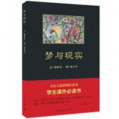 梦与现实