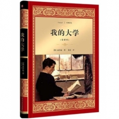 我的大学/经典译文·文学名著（新华文轩）