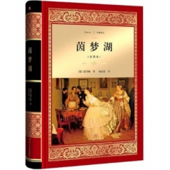 茵梦湖/经典译文·文学名著（新华文轩）