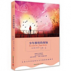 少年维特的烦恼-浙教版