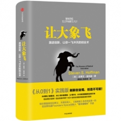 让大象飞:激进创新,让你一飞冲天的创业术
