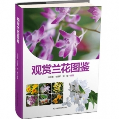 观赏兰花图鉴