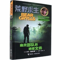 荒野求生绝命战机系列 幽灵部队的绝密文件