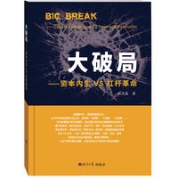 大破局-资本内生VS杠杆革命