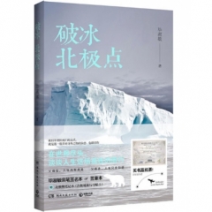 破冰北极点