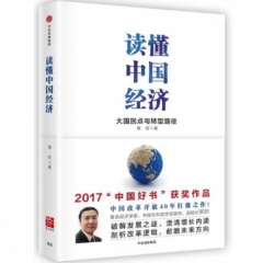 读懂中国经济:大国拐点与转型路径