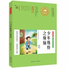 少年维特之烦恼