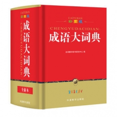 彩图版成语大词典