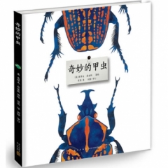 奇妙的甲虫