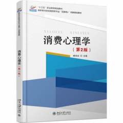 消费心理学(第2版)
