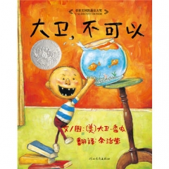 大卫,不可以
