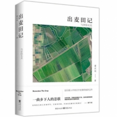 出麦田记