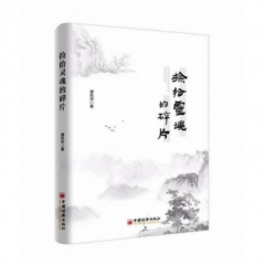 捡拾灵魂的碎片