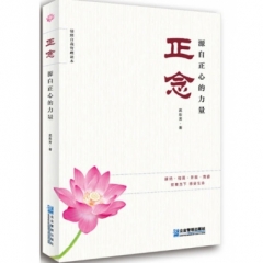 正念 : 源自正心的力量