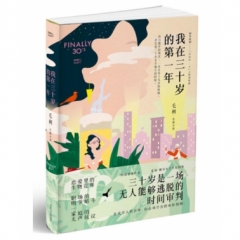 我在三十岁的第一年